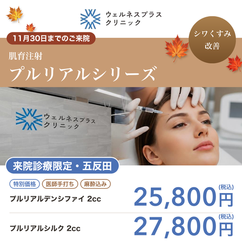 In-clinic visit | Pluryal Silk 2 cc 【Wellness Plus Clinic】
