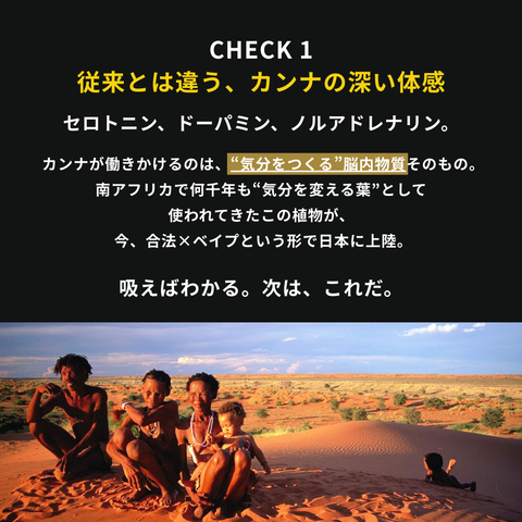 RICHILL NEO 【新チル成分配合、フワフワするやつ。】 カンナベイプ ｜初回デバイス無料（カラーランダム）