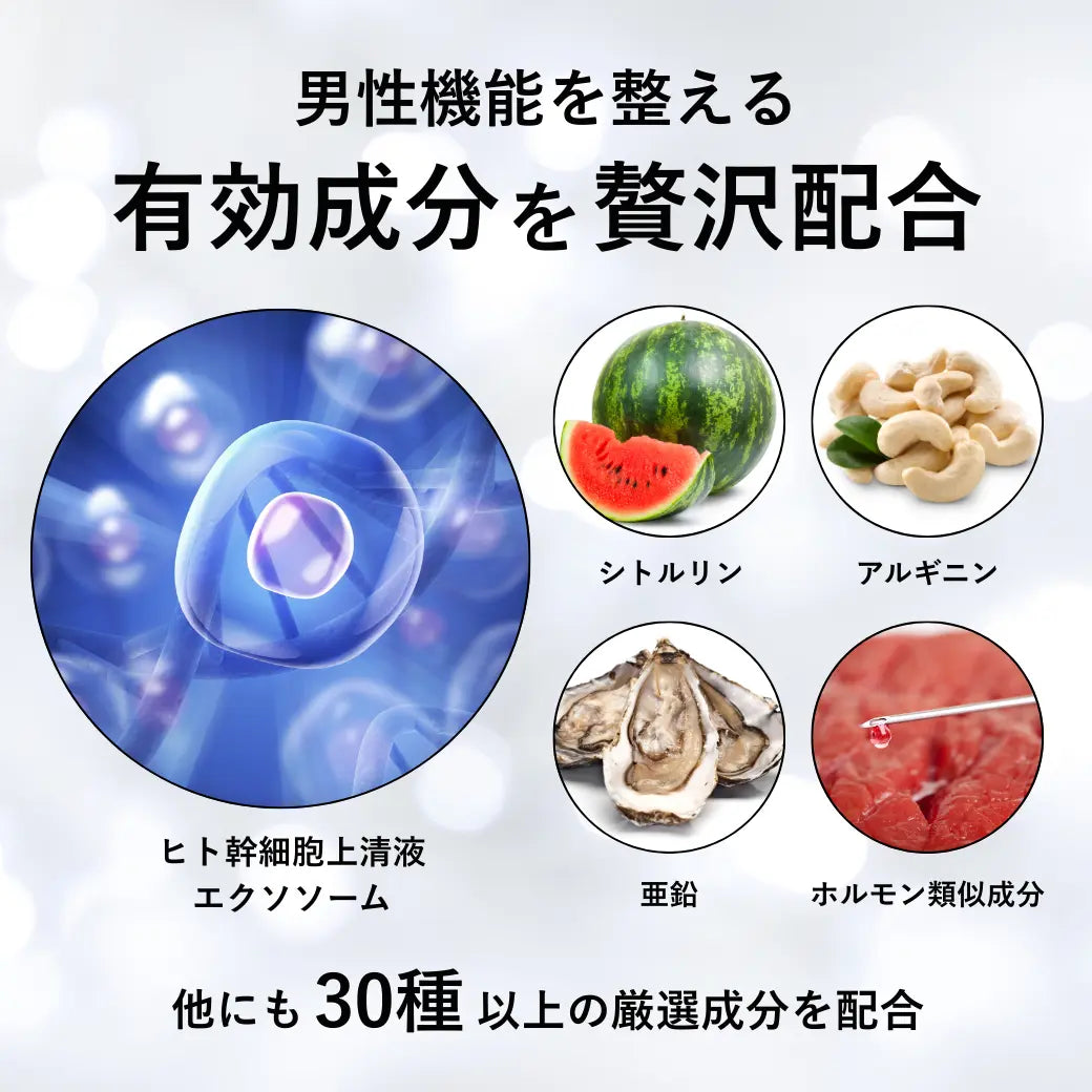 【期間限定】Exstem(エクステム) ED根本治療クリーム
