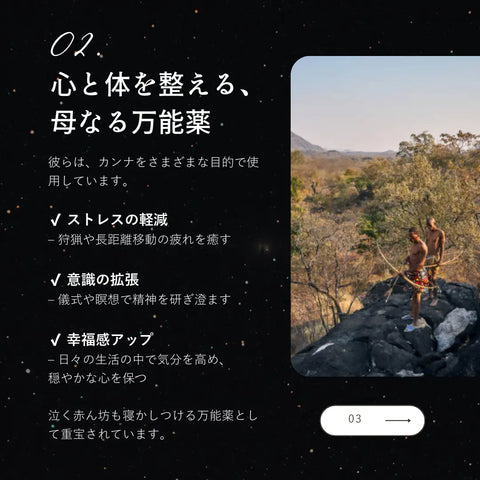 RICHILL NEO 一体型 【新チル成分配合、フワフワするやつ。】 カンナベイプ ｜初回4,000円オフ