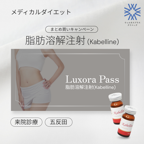 来院診療｜脂肪溶解注射 まとめ買いキャンペーン（カベリン）【Wellness Plus Clinic】