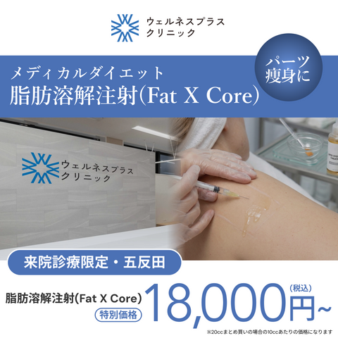 来院診療｜脂肪溶解注射 まとめ買いキャンペーン（FatX Core）【Wellness Plus Clinic】