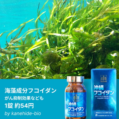Okinawa Fucoidan 12,000mg – 30-Day Supply (180 Tablets) by Kanehide Bio