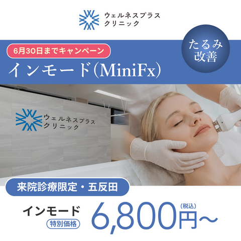 インモードミニFX（1部位or 2部位)【Wellness Plus Clinic】