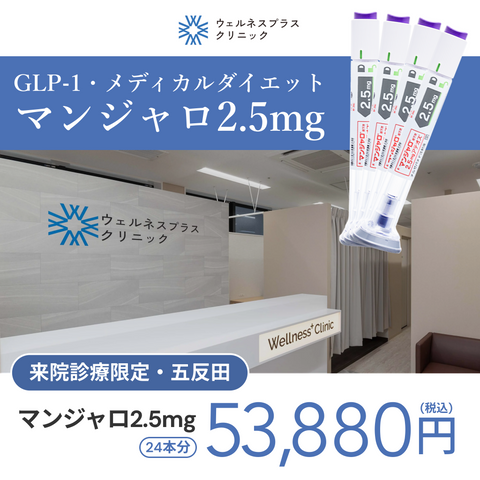 来院診療｜マンジャロ2.5mg×24本（6ヶ月分）【Wellness Plus Clinic】